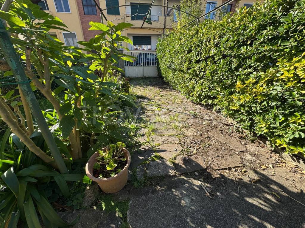 immagine annuncio 3 di 9