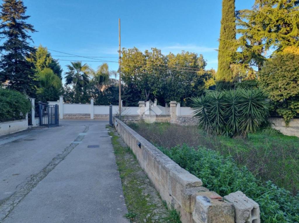 immagine annuncio 5 di 11