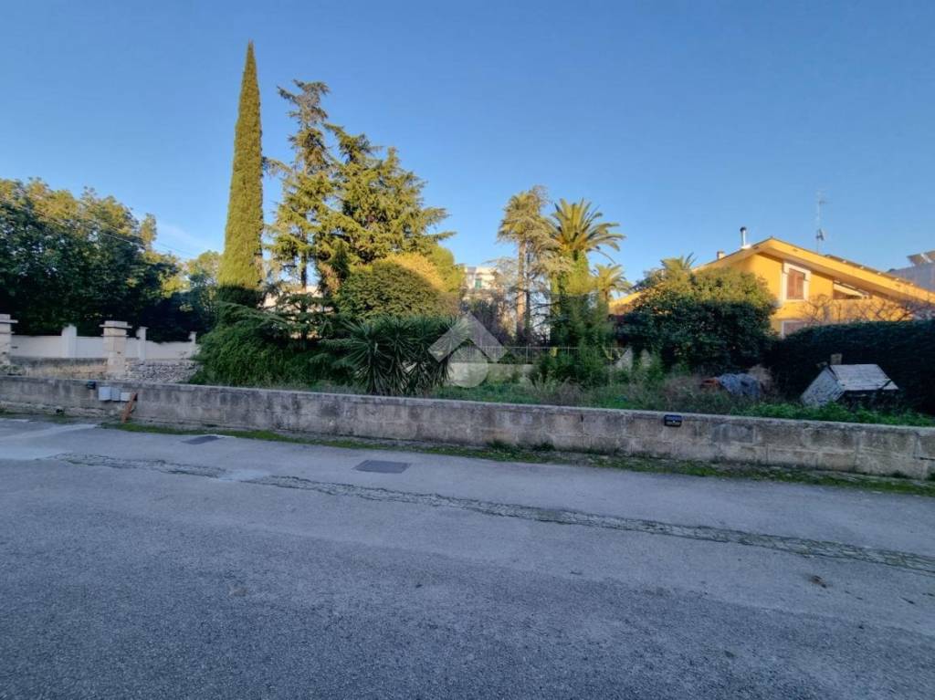 immagine annuncio 8 di 11
