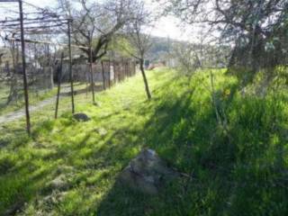 Terreno agricolo all'asta a pignola contrada sciffra