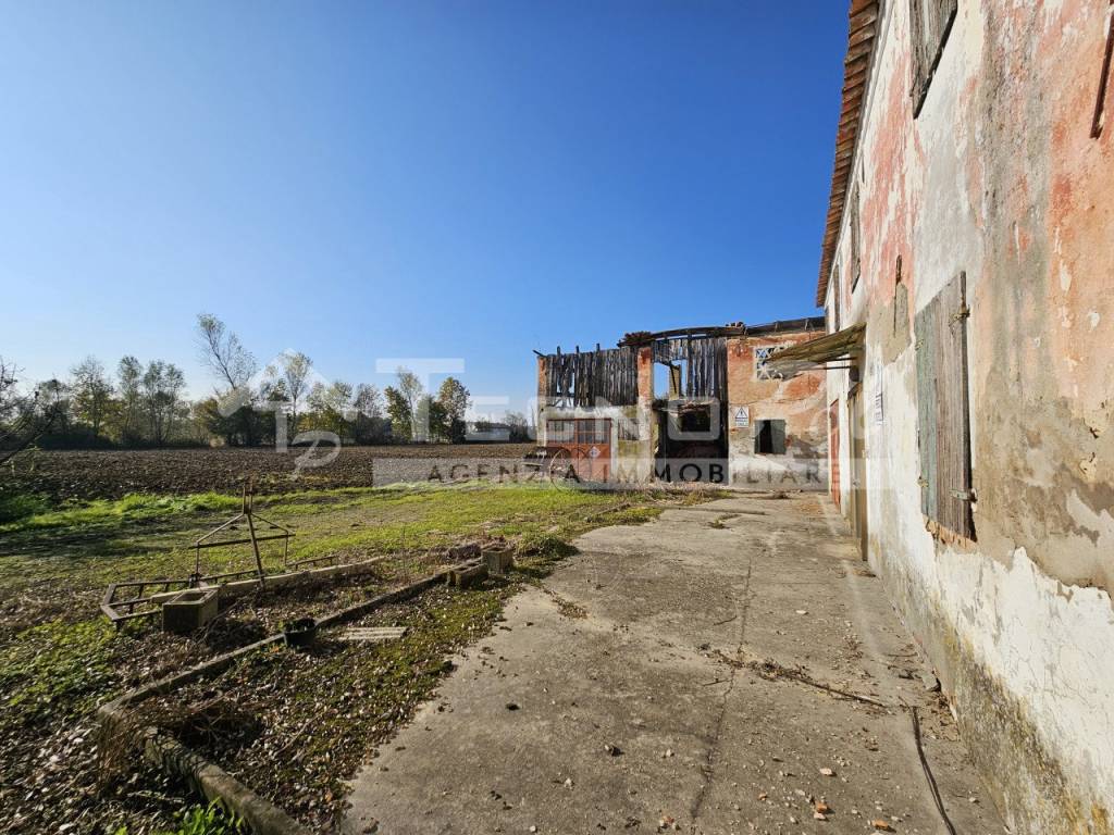 immagine annuncio 3 di 6