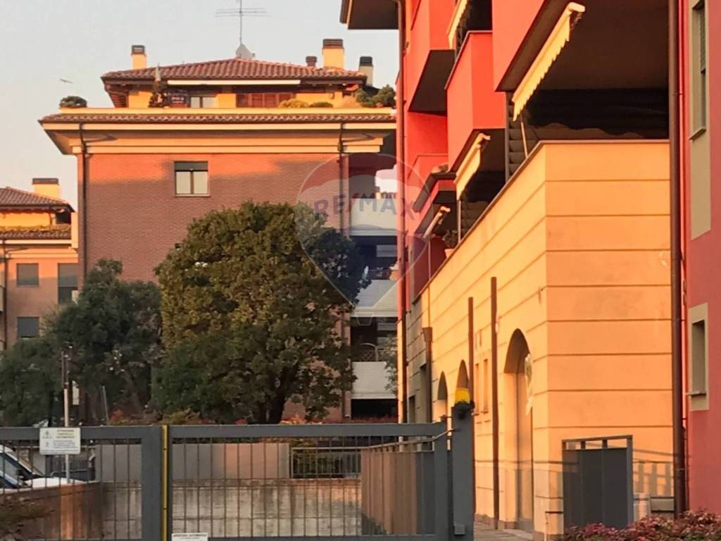 immagine annuncio 5 di 6
