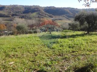 Terreno agricolo in vendita a miglianico via papa giovanni xiii