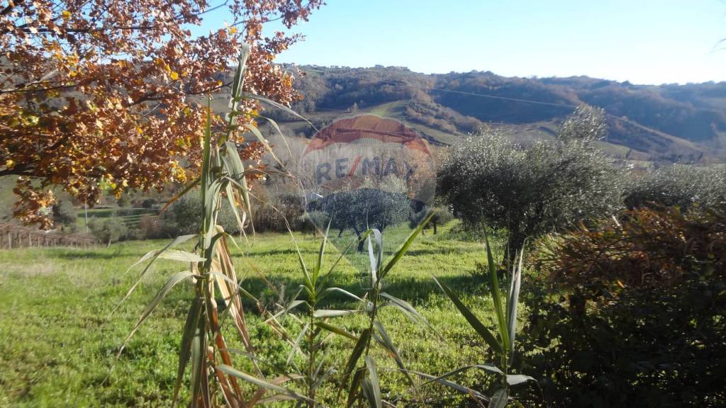 immagine annuncio 8 di 12
