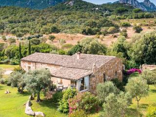 Villa in vendita a olbia via del campo sportivo