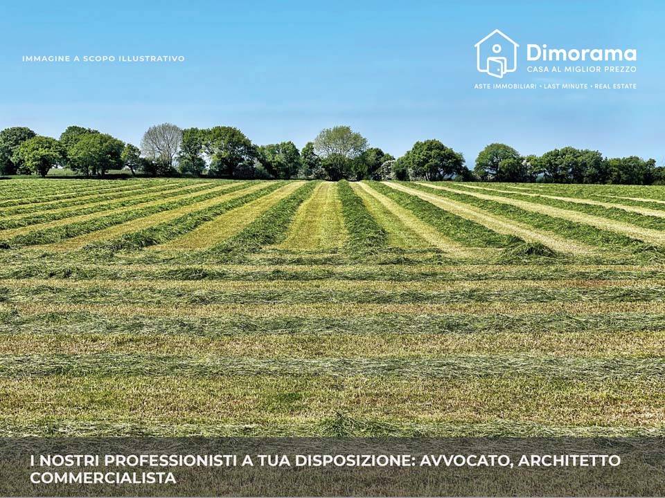 immagine annuncio 5 di 11