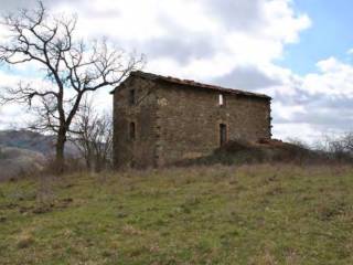 Terreno agricolo all'asta a gubbio località carpiano, 06024 gubbio pg, italia