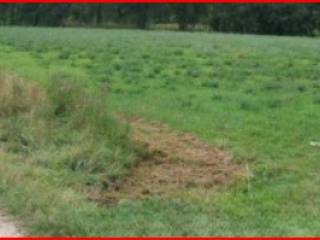 Terreno agricolo all'asta a rezzato 25086 rezzato bs, italia