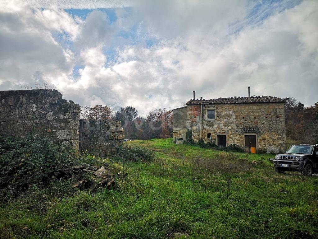 immagine annuncio 10 di 14