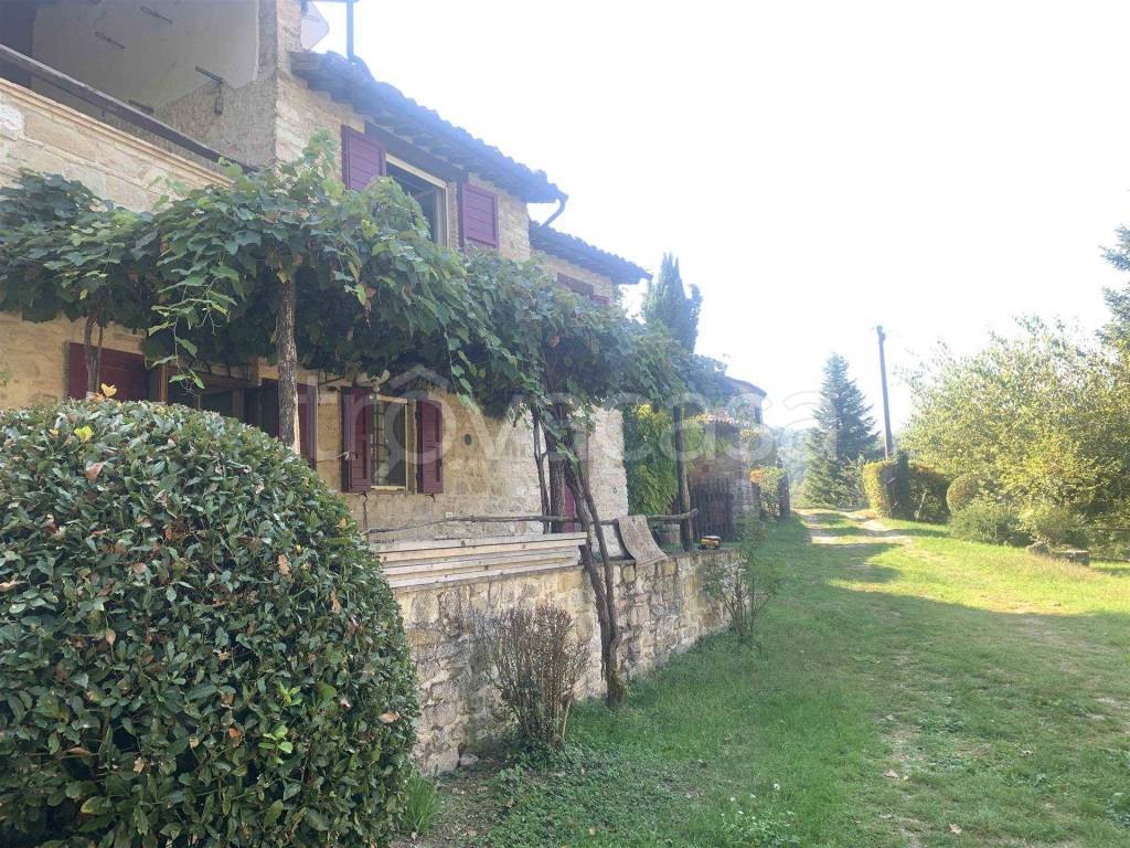immagine annuncio 9 di 13
