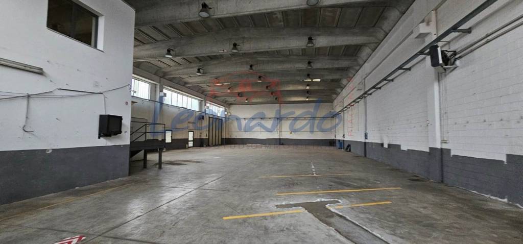 immagine annuncio 8 di 13