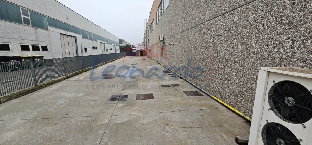 immagine annuncio 11 di 13