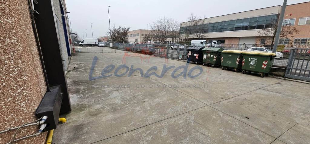 immagine annuncio 12 di 13