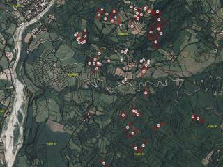 Terreno agricolo all'asta a farini zona farini, snc