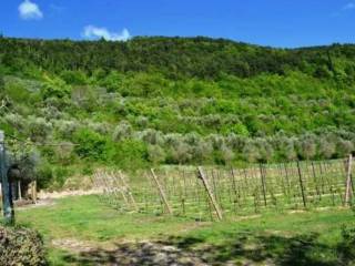 Terreno agricolo all'asta a tregnago località tregnago