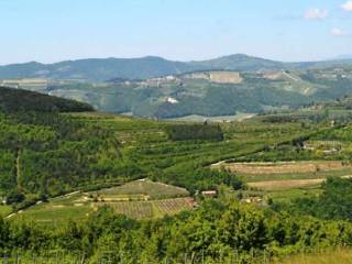 Terreno agricolo all'asta a tregnago via saline