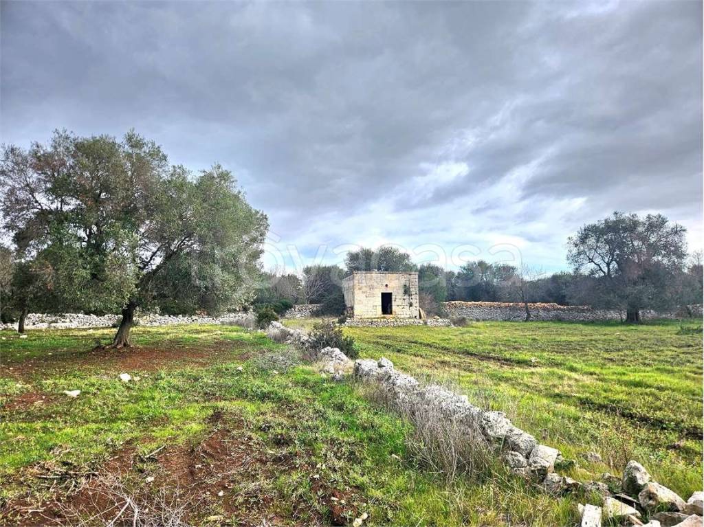 immagine annuncio 12 di 14