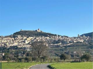 Terreno agricolo in vendita ad assisi santa maria degli angeli