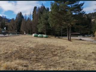 Terreno agricolo all'asta a lozzo di cadore ss51bis