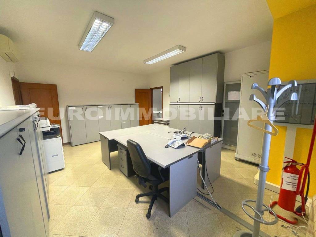 immagine annuncio 2 di 12