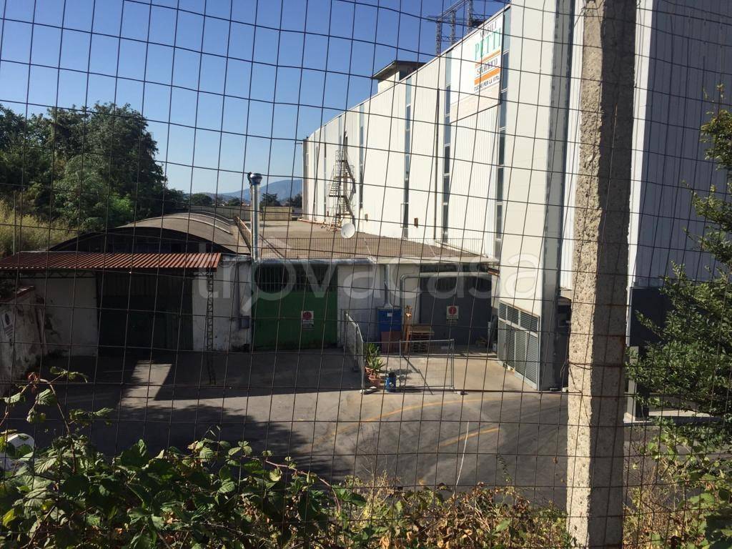 immagine annuncio 2 di 8