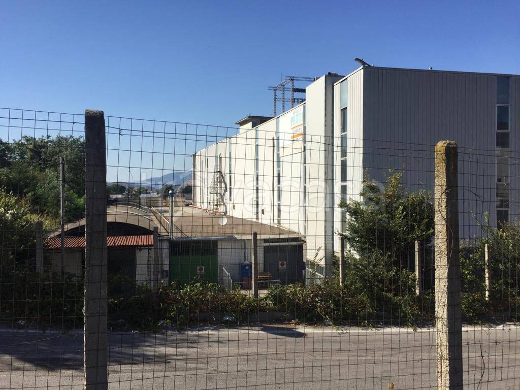 immagine annuncio 3 di 8