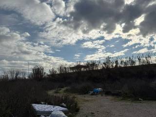 Terreno agricolo in affitto a giugliano in campania via signorelle a patria