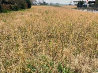 Terreno residenziale in vendita a cesenatico via cesenatico