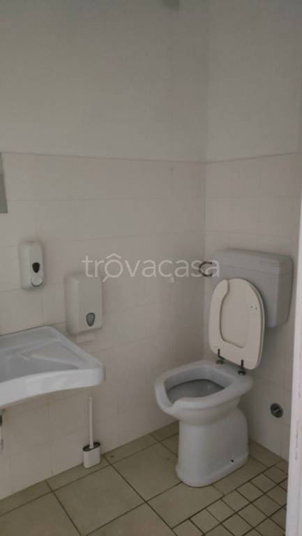 immagine annuncio 3 di 12
