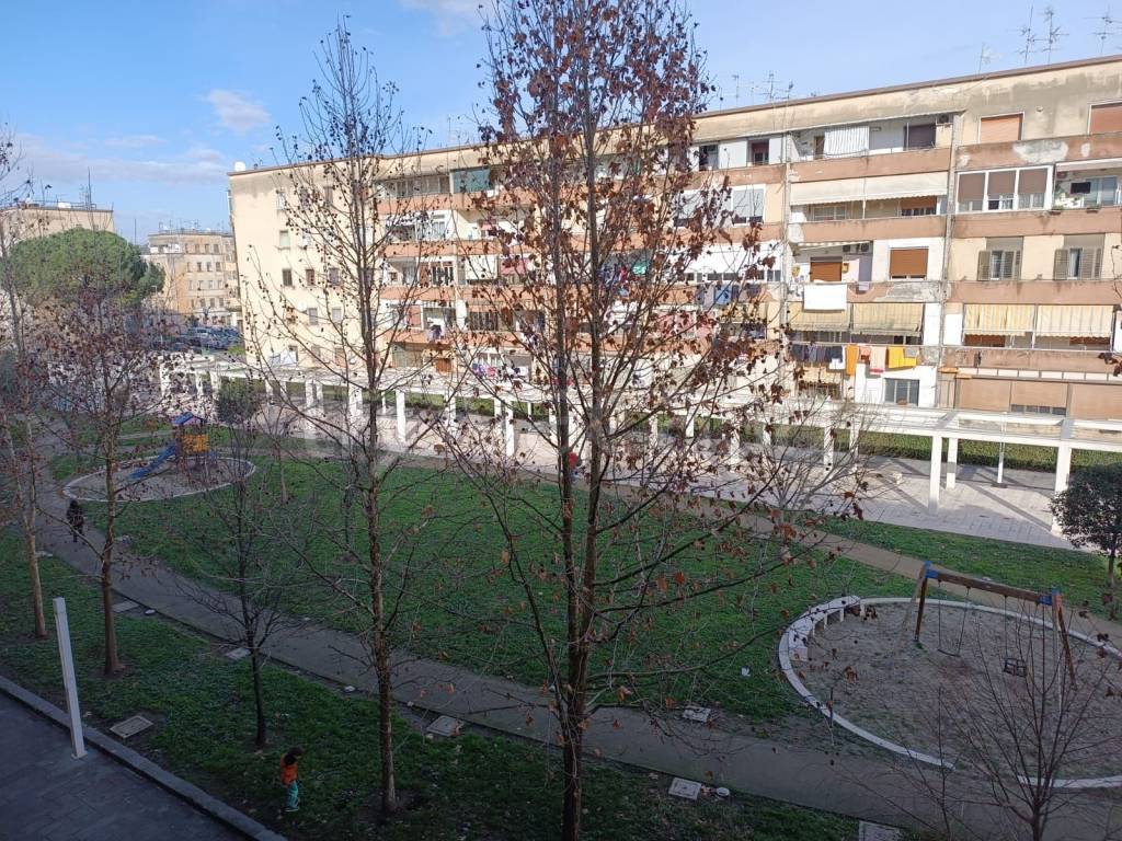 immagine annuncio 7 di 14