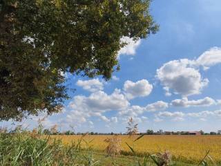 Terreno agricolo in vendita a casorate primo via dell'artigianato