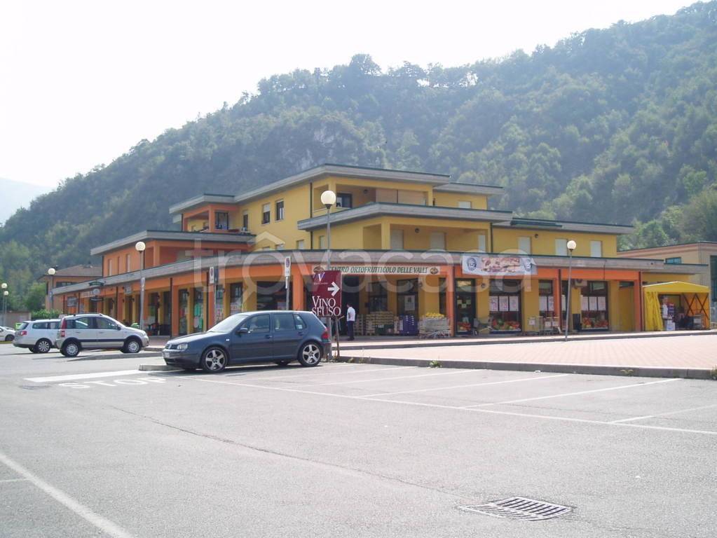 immagine annuncio 12 di 14