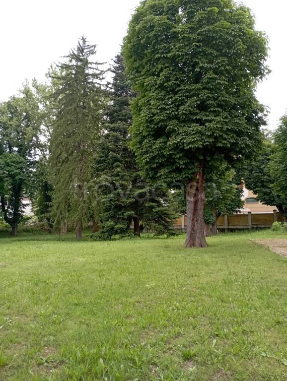 immagine annuncio 4 di 9