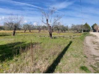 Terreno agricolo all'asta a lucera contrada quatraro