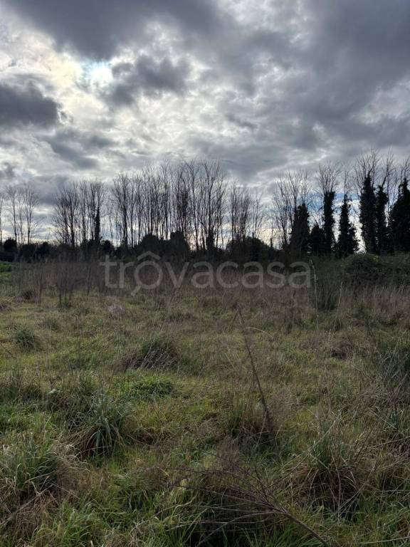 immagine annuncio 8 di 12