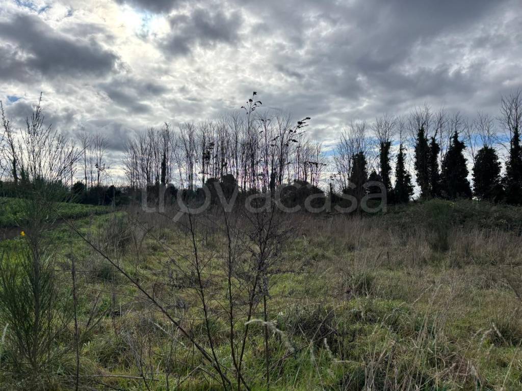 immagine annuncio 9 di 12