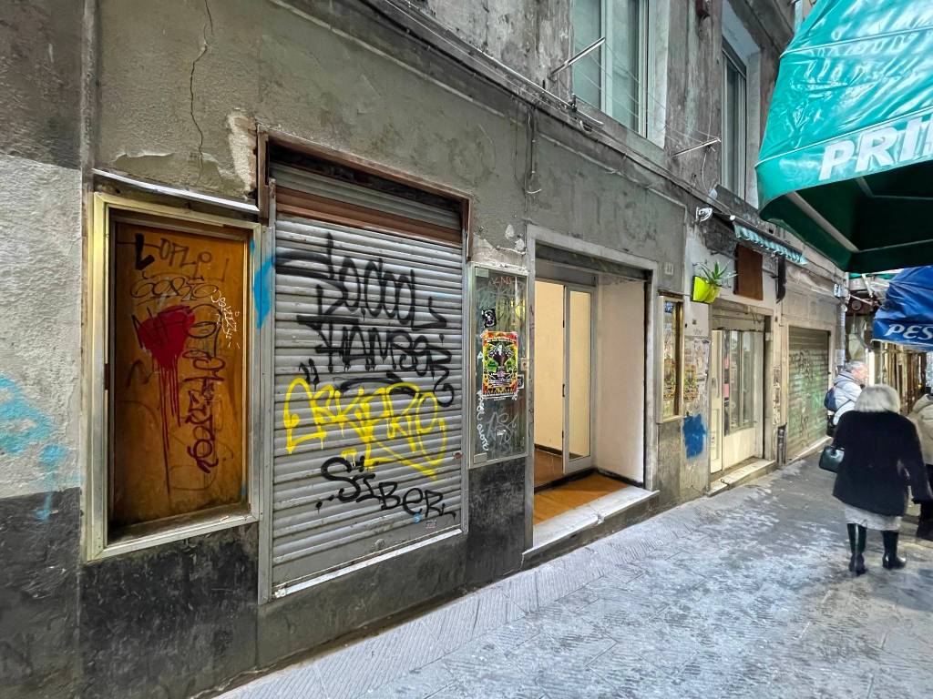 immagine annuncio 2 di 7