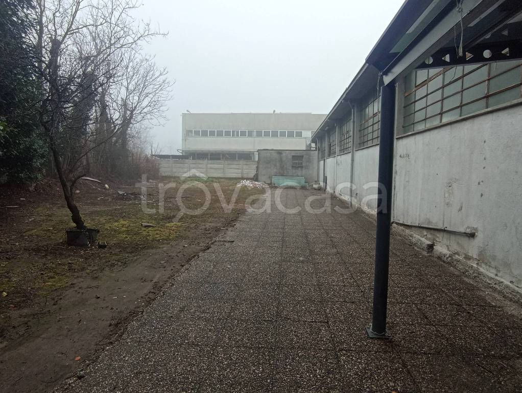 immagine annuncio 5 di 10