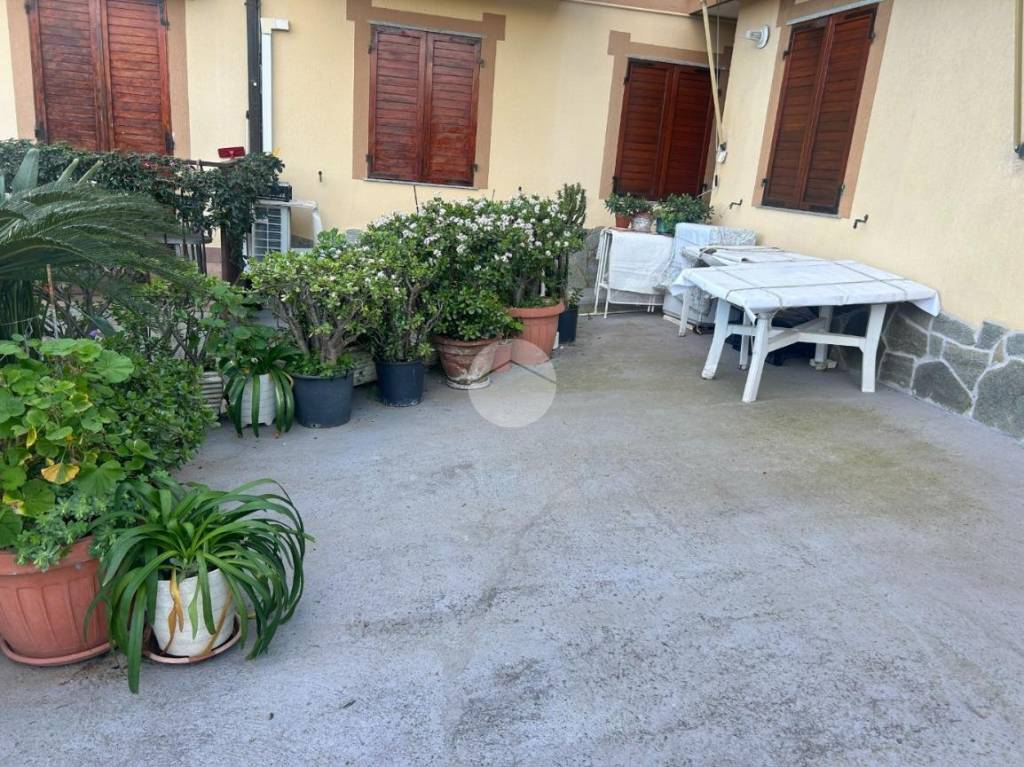 immagine annuncio 4 di 14