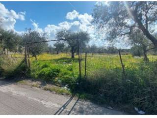 Terreno agricolo all'asta a lucera strada vicinale salnitro