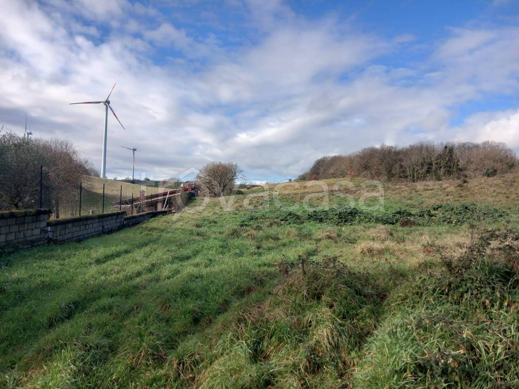 immagine annuncio 4 di 12