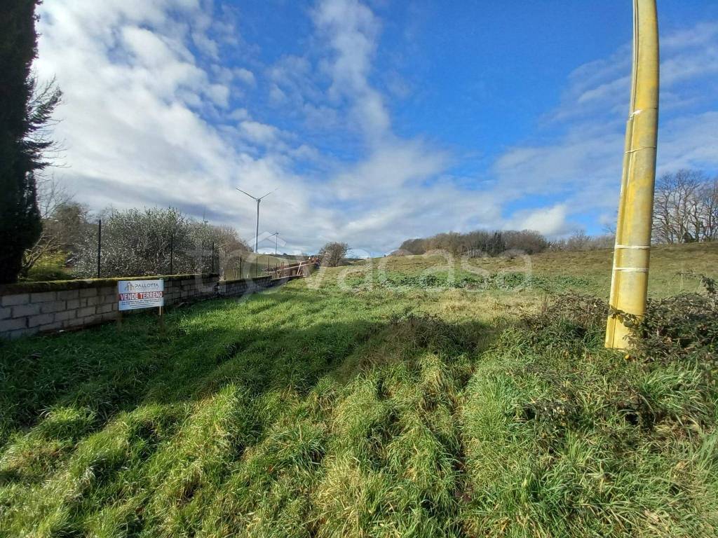 immagine annuncio 3 di 12