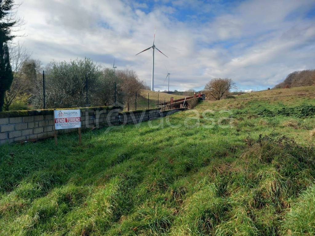 immagine annuncio 2 di 12