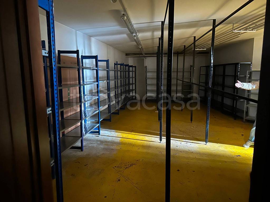 immagine annuncio 6 di 14