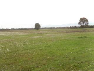 Terreno agricolo in vendita a latina 