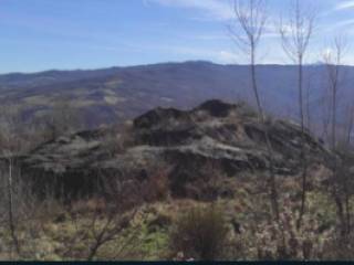 Terreno agricolo all'asta a vetto sp57