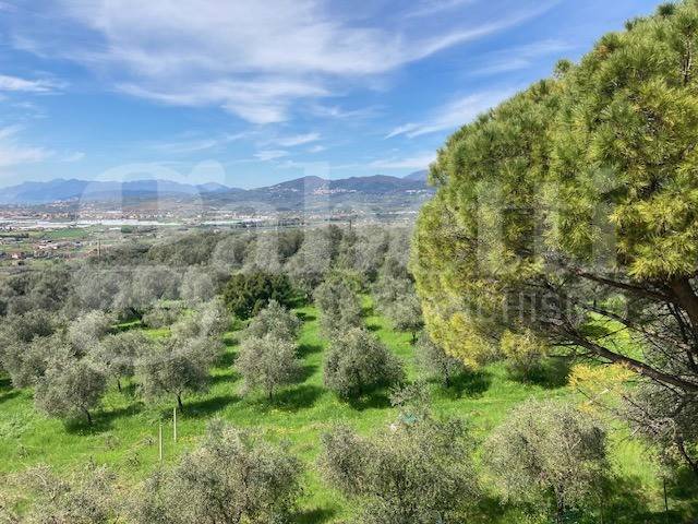 immagine annuncio 4 di 8