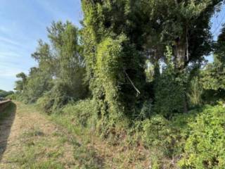 Terreno agricolo all'asta a camaiore via mincio