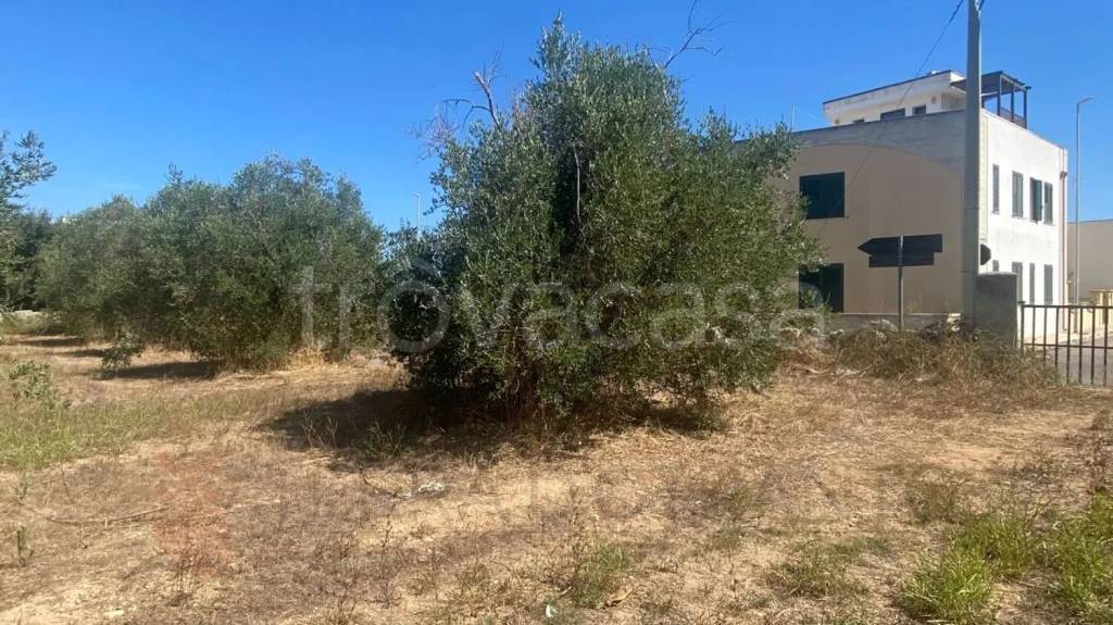 immagine annuncio 7 di 12