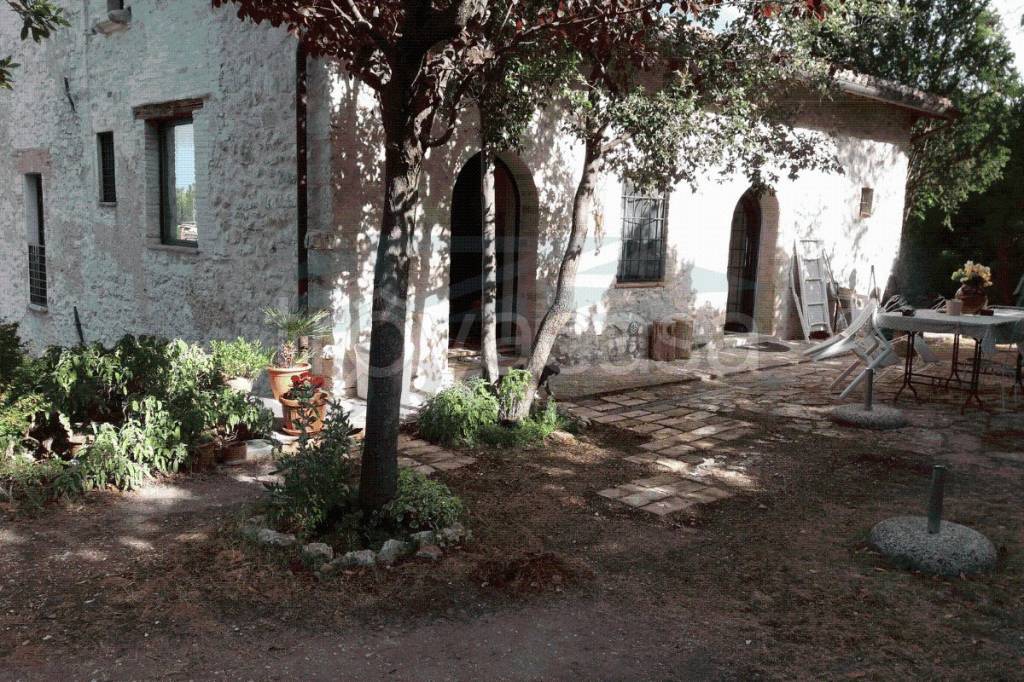 immagine annuncio 5 di 14